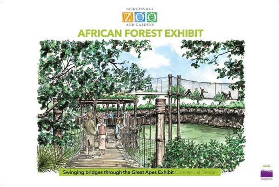 Jacksonville Zoo African Forest