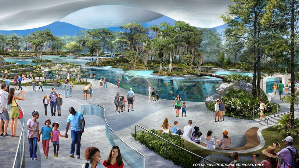 jacksonville zoo new manatee habitat