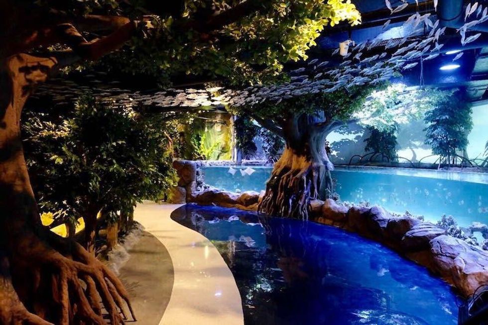 jakarta aquarium mangroves