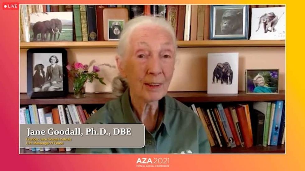 Jane Goodall AZA conference