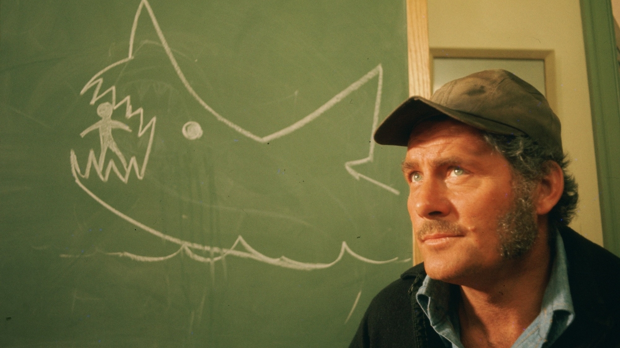 jaws exhibition academy museum
