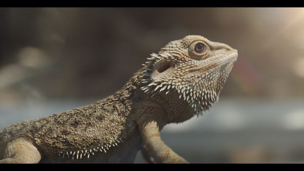 Jeff's World Three Ireland Framestore