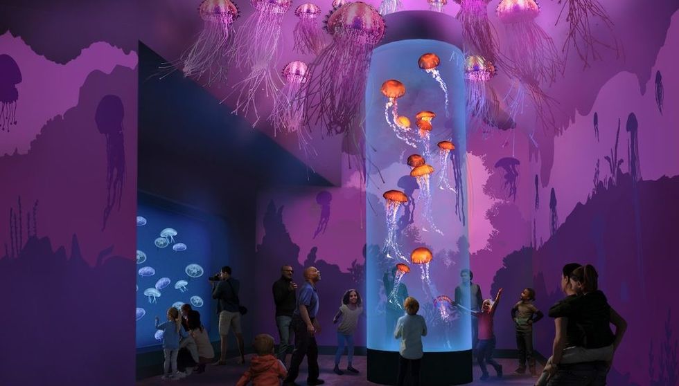 Jewels of the Sea A Jellyfish Experience Rendering Image