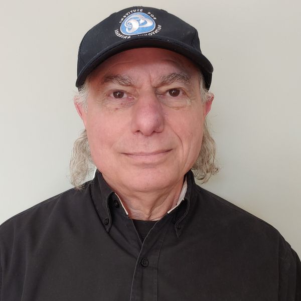 john h falk headshot