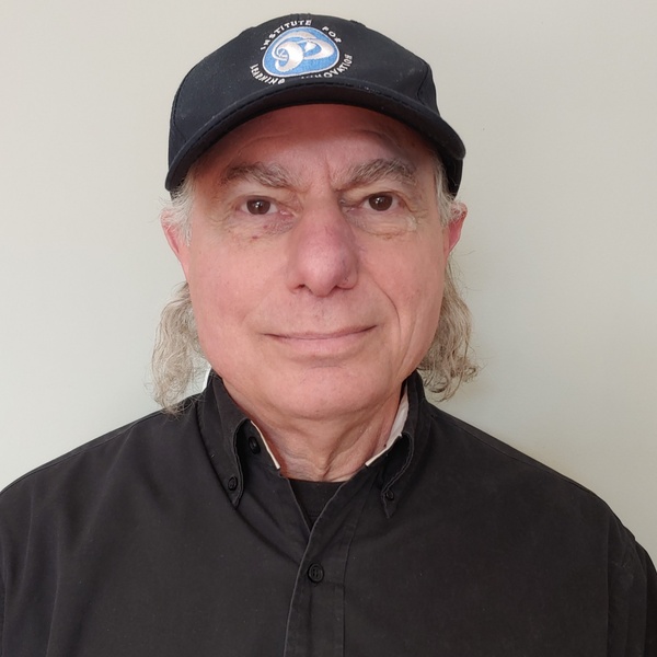 john h falk headshot