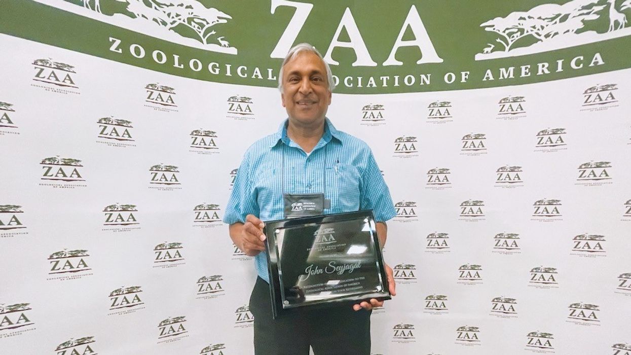 John Seyjagat ZAA