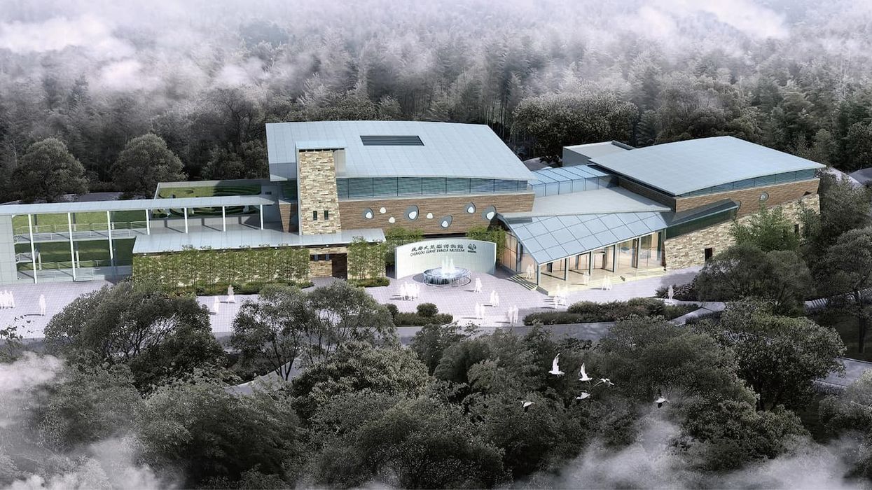 Jora Vision giant panda museum