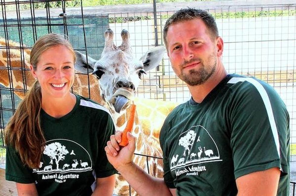 jordan patch animal adventure oliver the giraffe april the giraffe