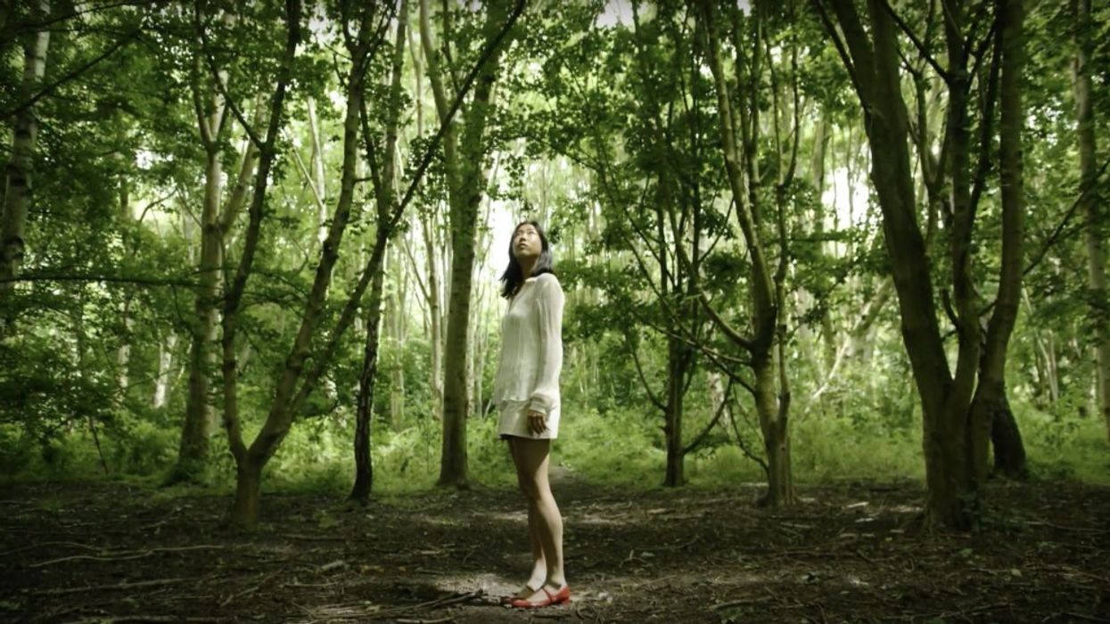 Journey HomeForest wellness tool
