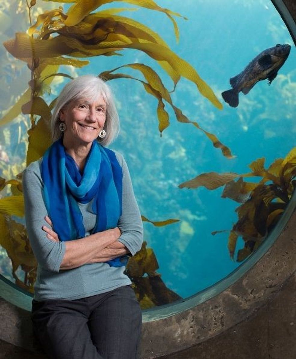 julie packard monterey bay aquarium