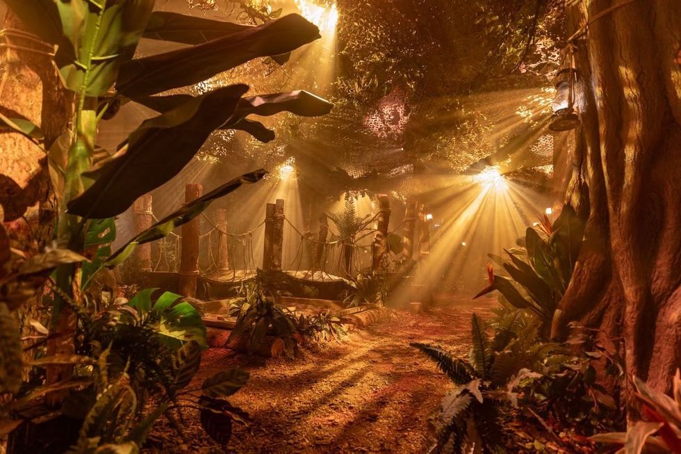 jungle in the paddington bear experience