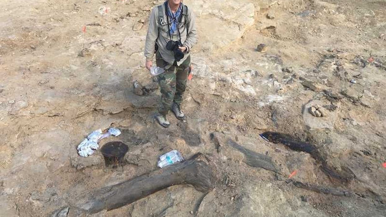 Jurassic Mile dig sauropod Wyoming