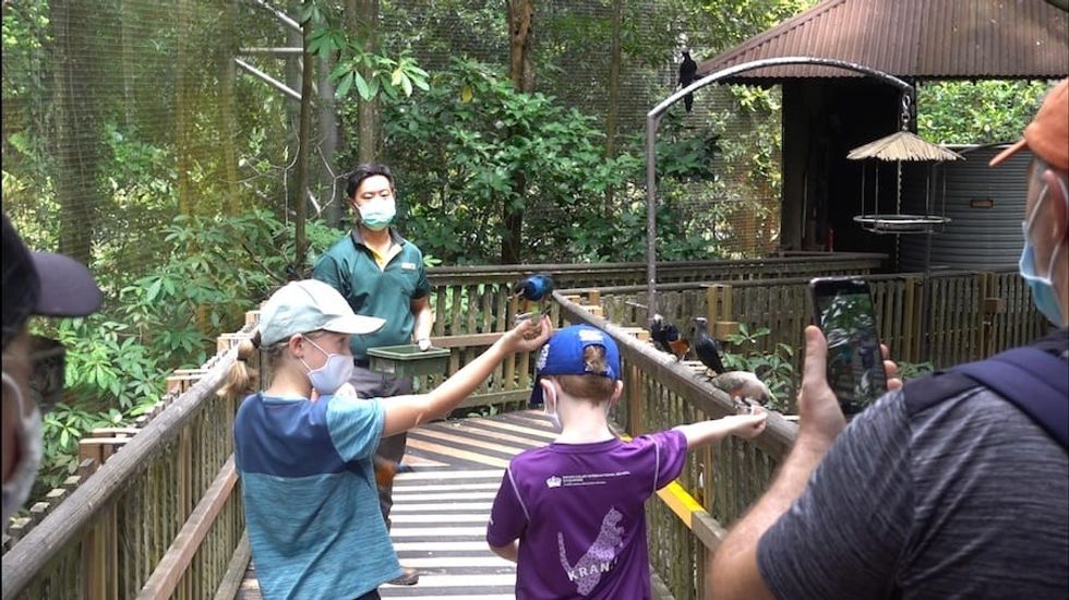 Jurong Bird Park_African Treetops