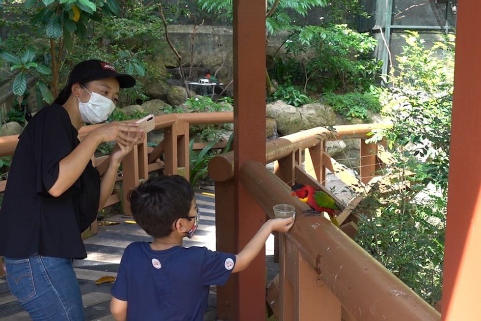 Jurong Bird Park_Lory feeding wildlife reserves singapore