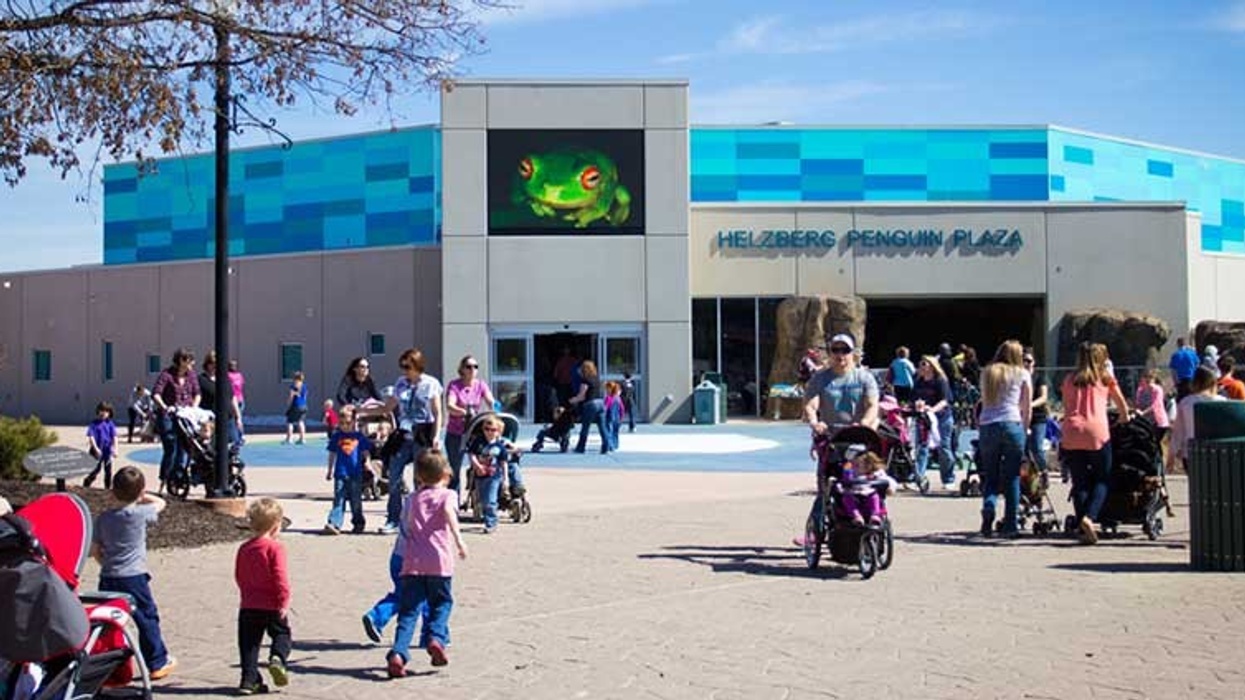 kansas city zoo