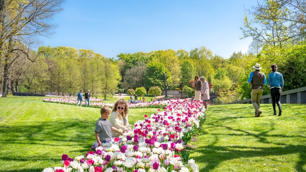 Kasteeltuinen Arcen guests