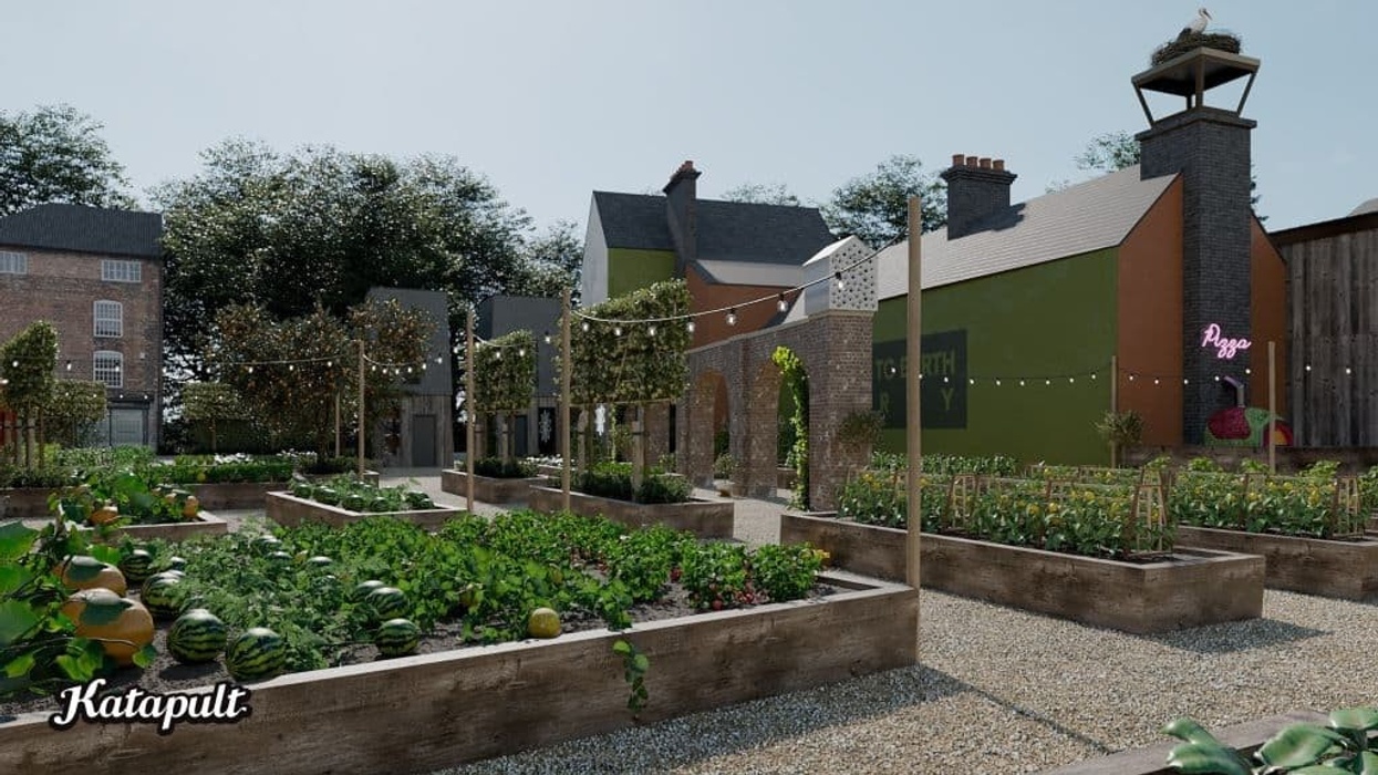 Katapult Electric Daisy Day