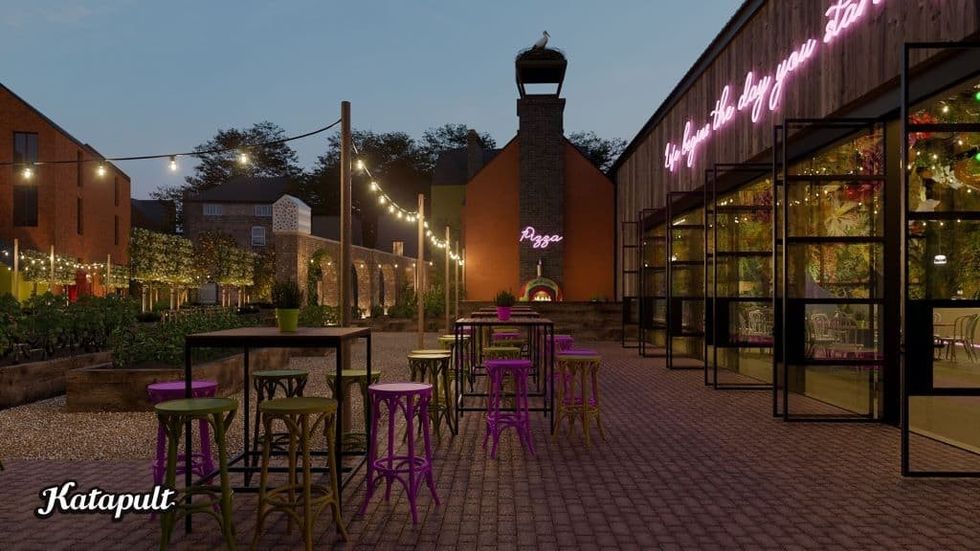 Katapult Electric Daisy Night