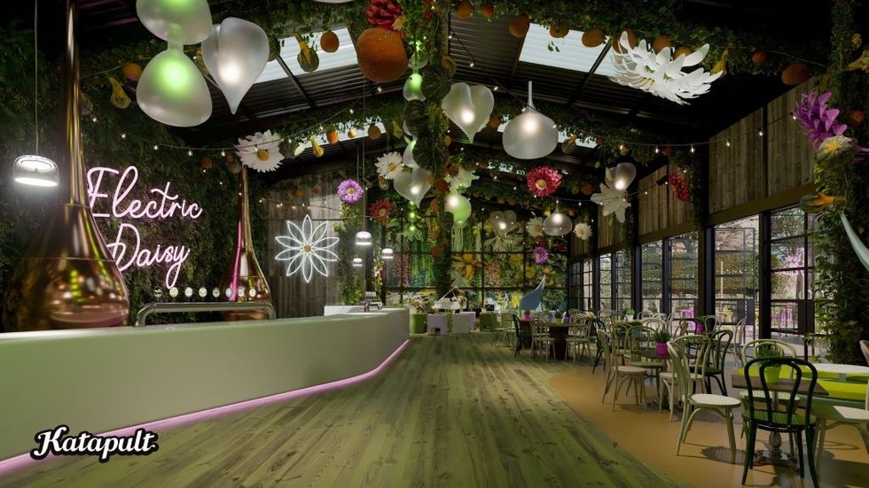 Katapult Electric Daisy