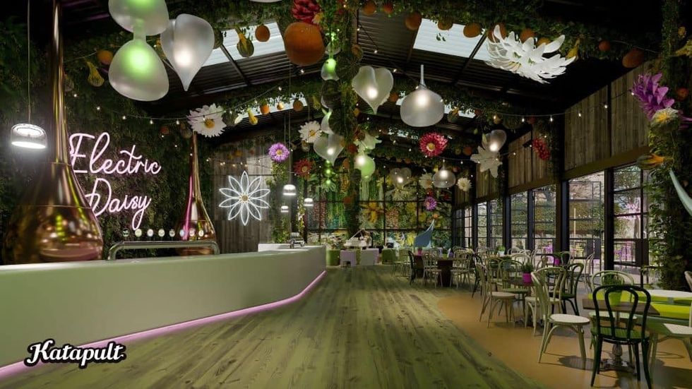 Katapult Electric Daisy