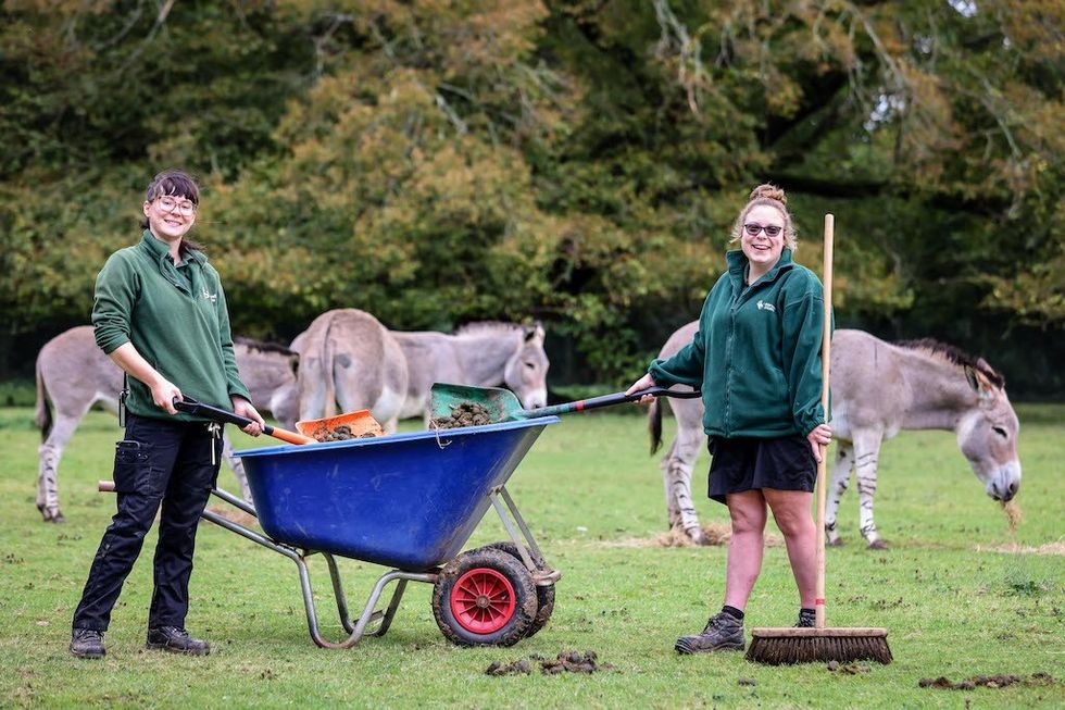 Keepers cleaning enclosure Marwell Wildlife