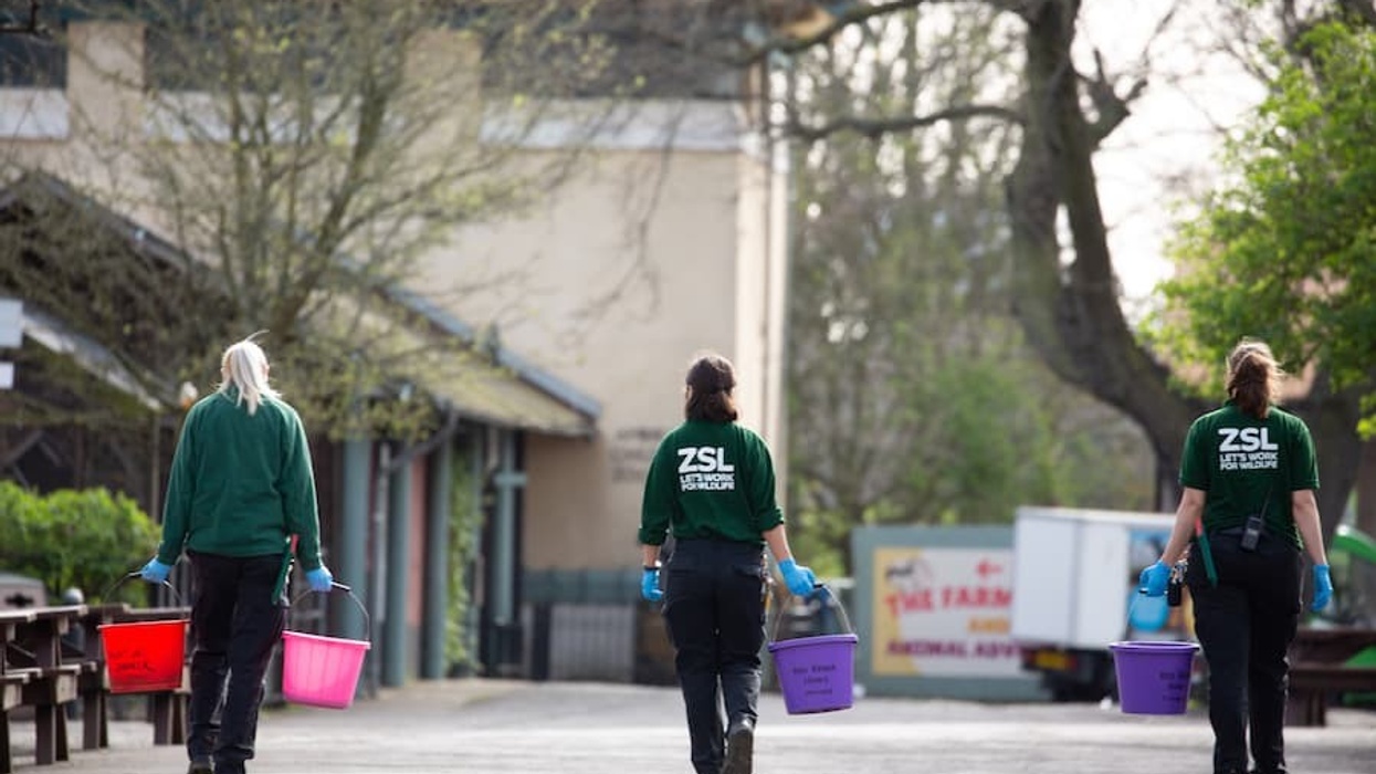 Keepers-remain-on-site-to-look-after-the-animals-at-ZSL-London-Zoo