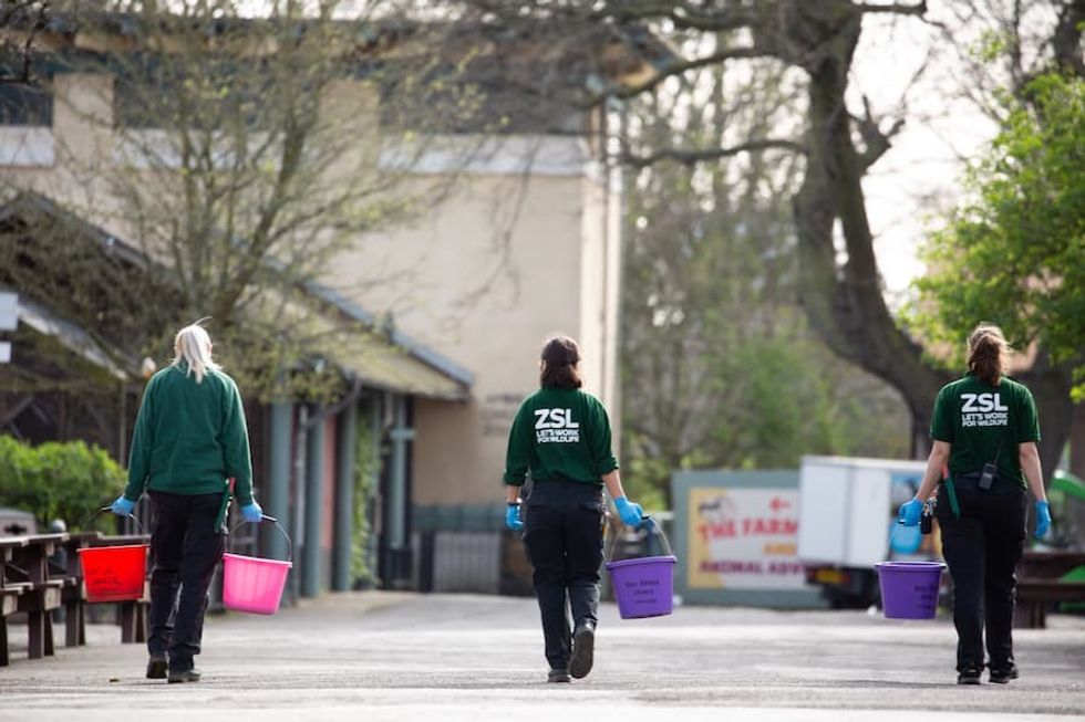 Keepers remain on site to look after the animals at ZSL