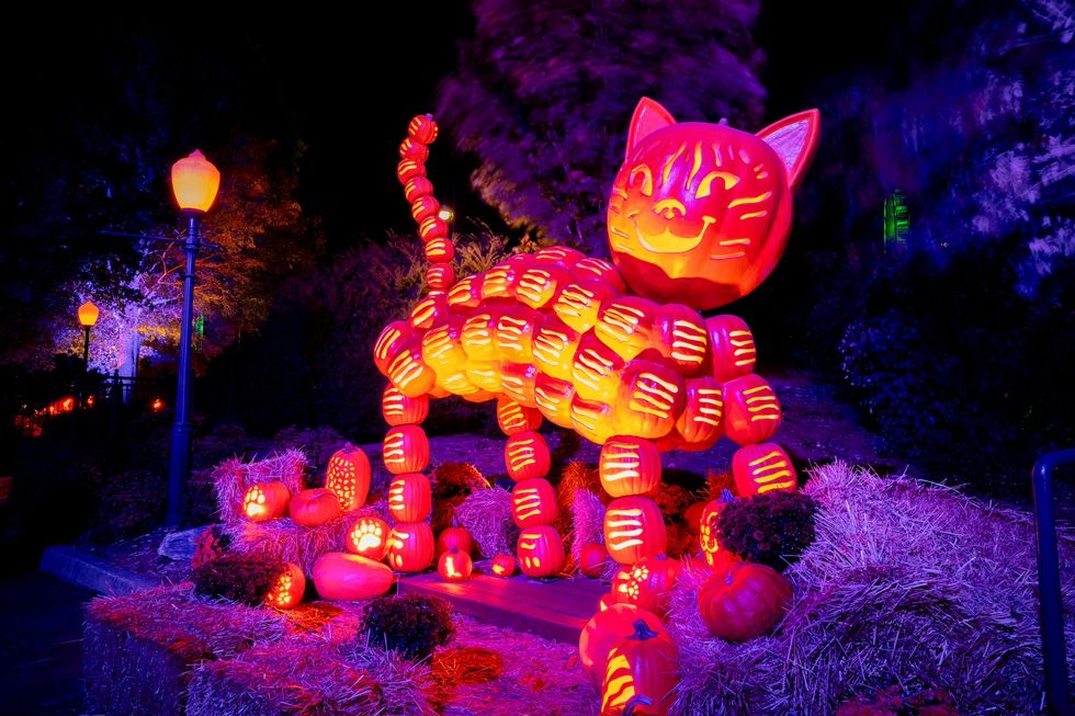 kentucky kingdom halloween