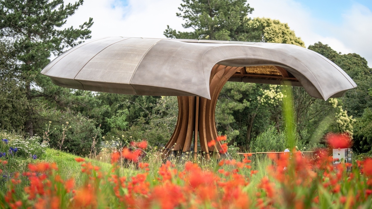 kew gardens carbon garden
