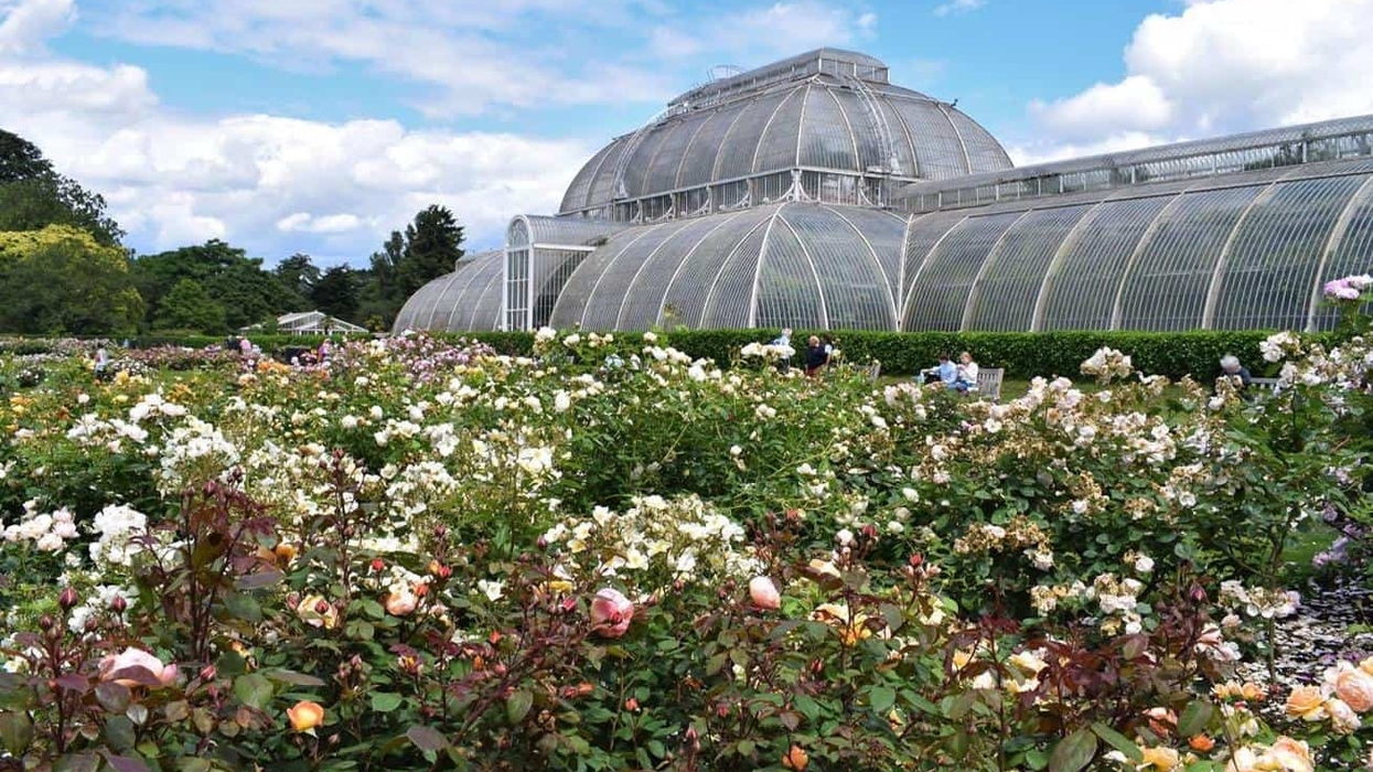 kew gardens
