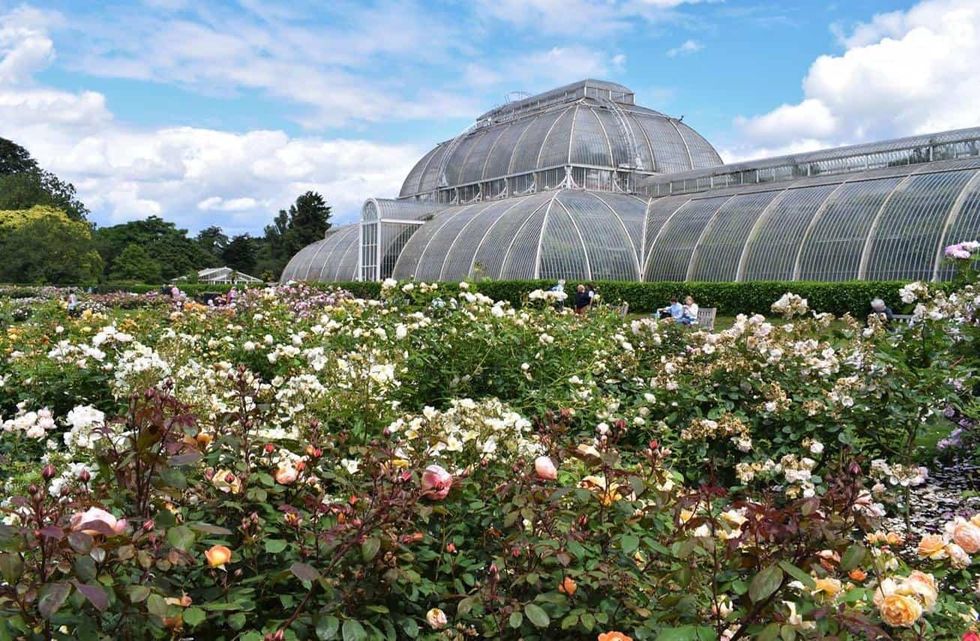 kew gardens