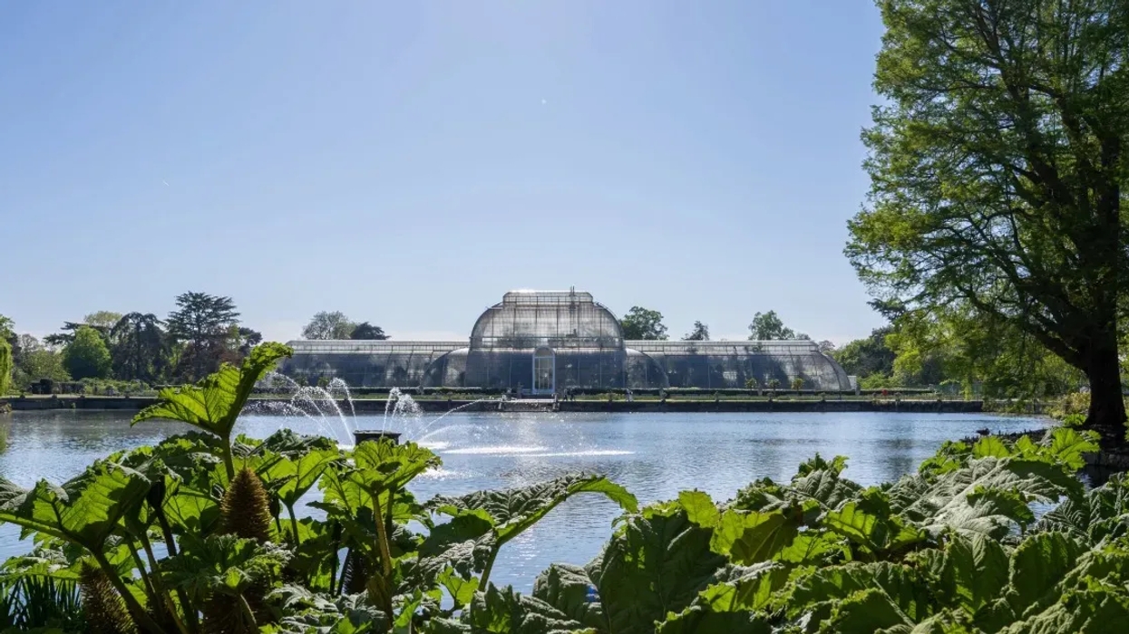 Kew glasshouse by a lake with leafy plants and trees under a clear blue sky.