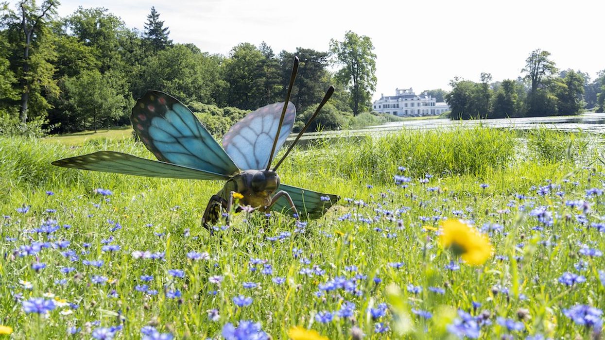 Kibeco Big Insects Soestdijk