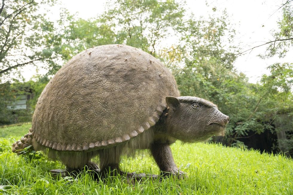 Kibeco IJstijd & Zoo