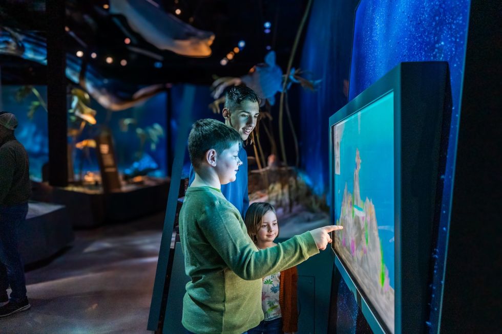Kids and an adult interacting with a touch screen exhibit in a dimly lit museum.