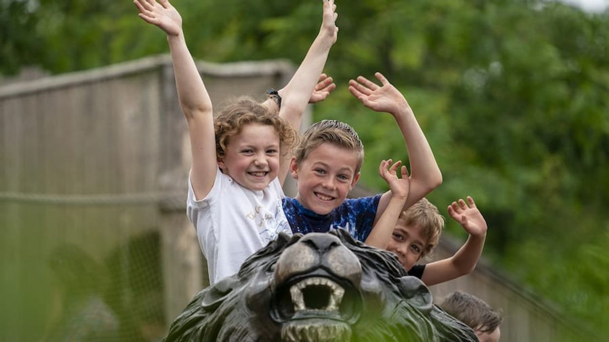 Kids at Marwell Zoo staycation