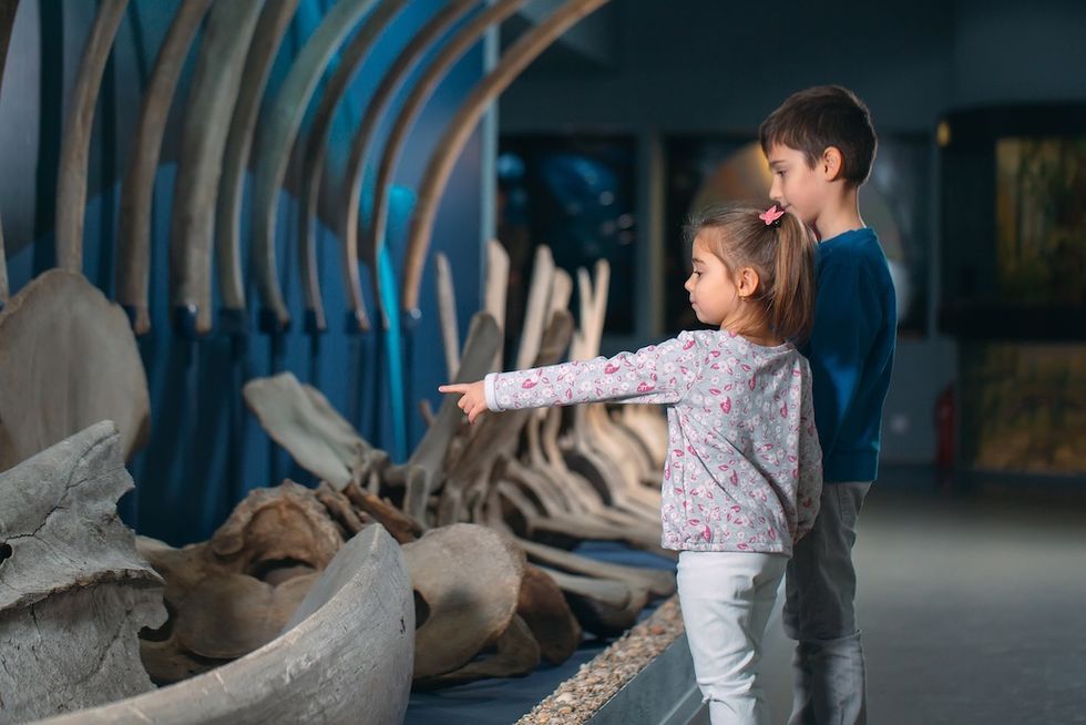 Kids observing a whale skeleton display at a museum exhibit.