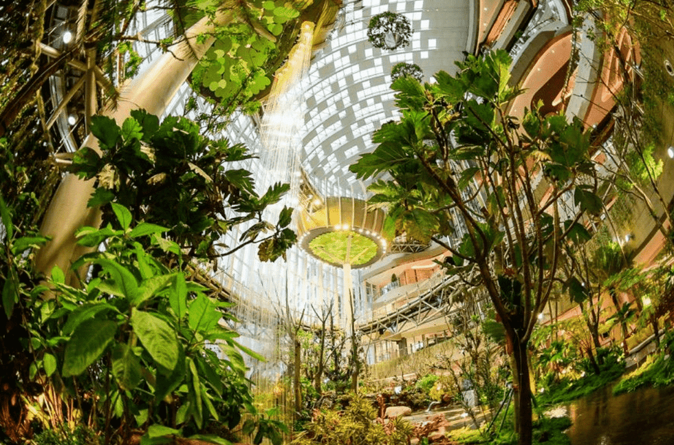 kidzplorer the ring chongqing