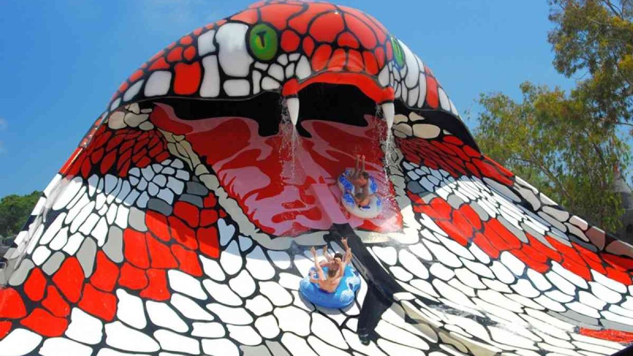 King Cobra waterslide Polin Group