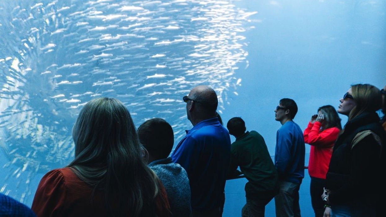 KLT Xperia Ocean Journey (c) SP Immersive Entertainment