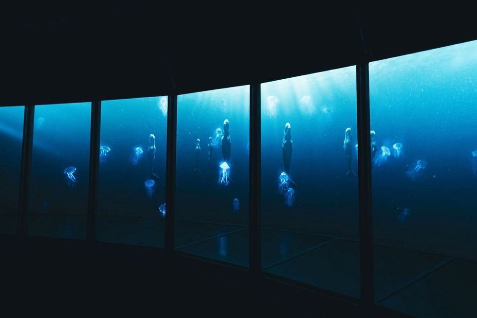 KLT Xperia Ocean Journey (c). SP Immersive Entertainment