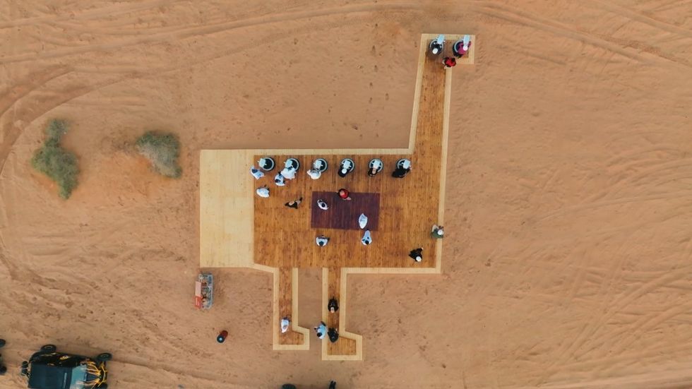 Knowliom creates cultural tour at Wadi AlNaam ostrich platform