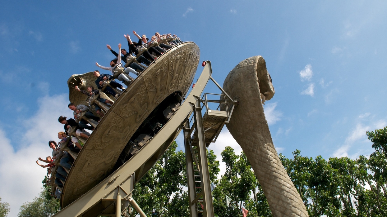 kobra chessington