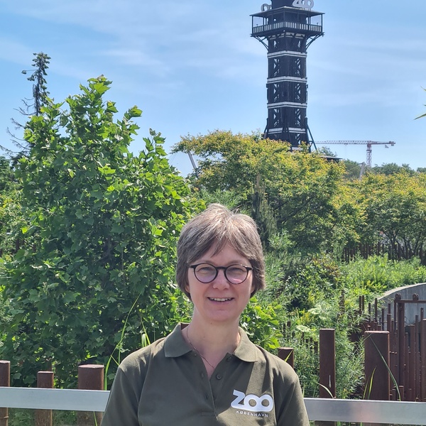 Kristin Leus Headshot