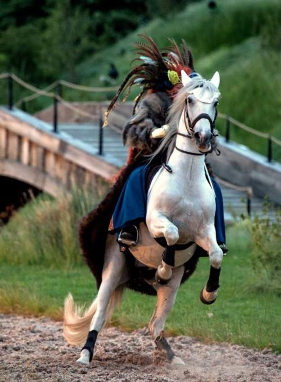 Kynren: Eleven Arches' CEO Anne-Isabelle Daulon on culture, collaboration and community
