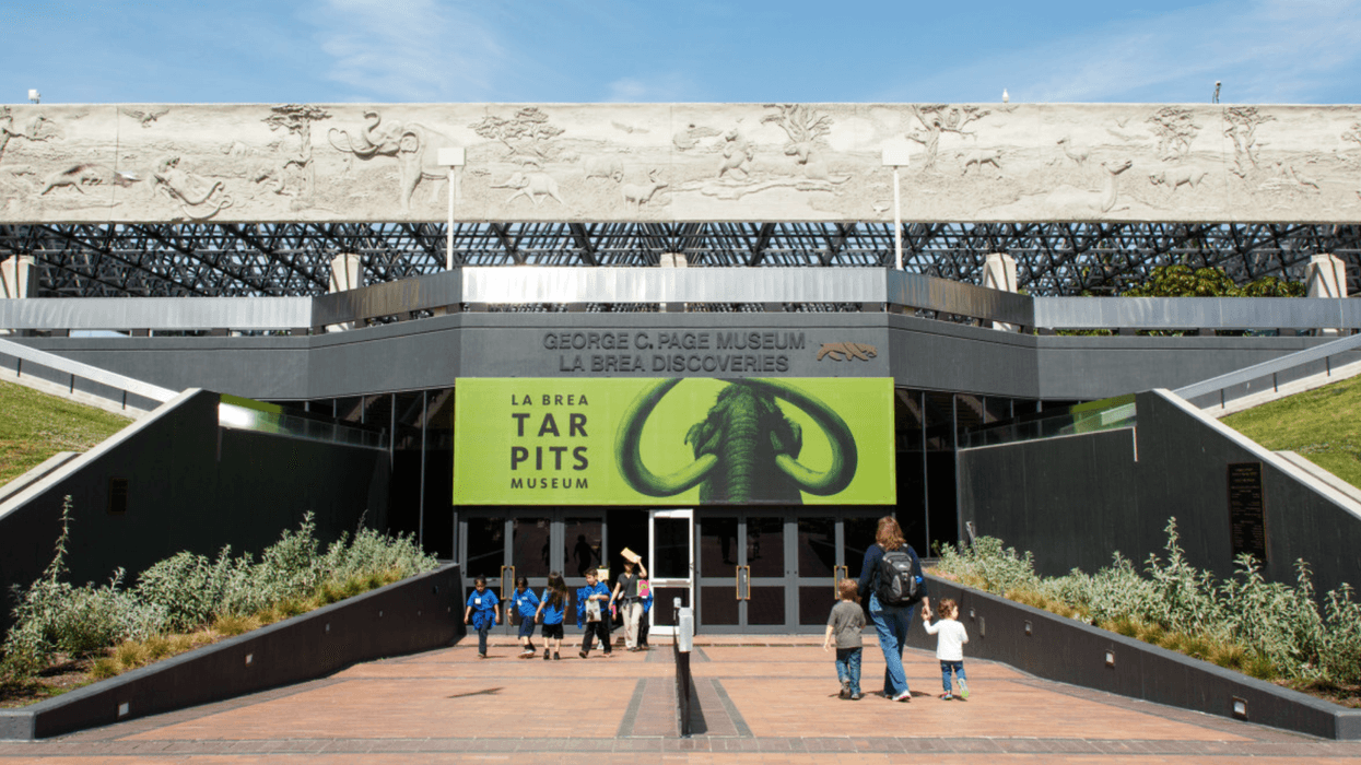 la brea tar pits museum