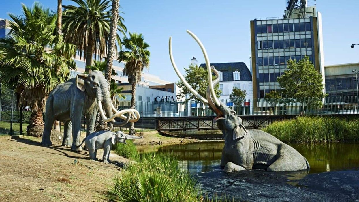 la brea tar pits