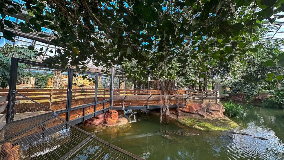 La Ferme aux Crocodiles Réserve Tropicale