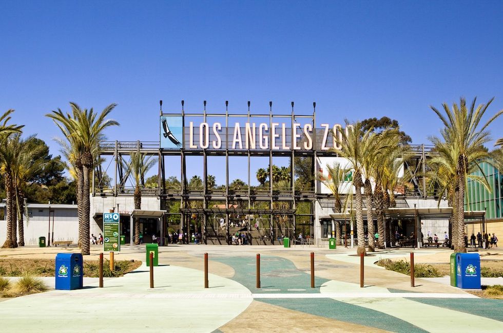 LA Zoo