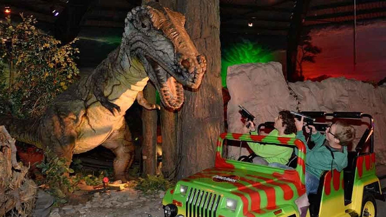 lagotronics projects dino attack interactivity